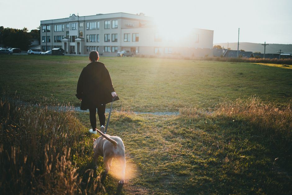 Pessoa de costas caminhando com o cachorro pela guia, num campo aberto ao entardecer, luz dourada